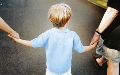 LA DIFESA CIVICA PER I SERVIZI SCOLASTICI EFFICACI E PER LE FAMIGLIE MONOREDDITO E CON FIGLI IN AFFIIDO GRATUITI